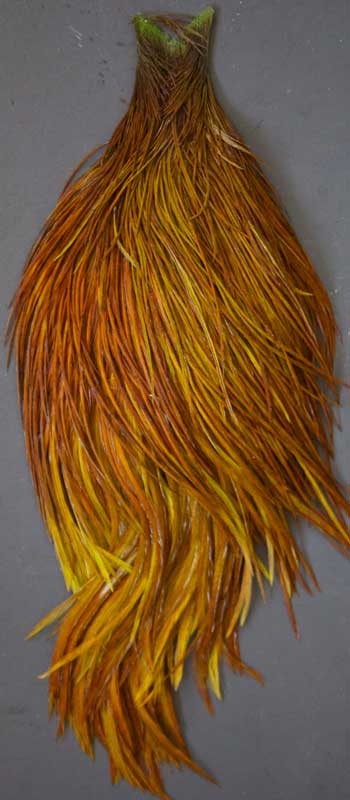 Indian Cock Neck